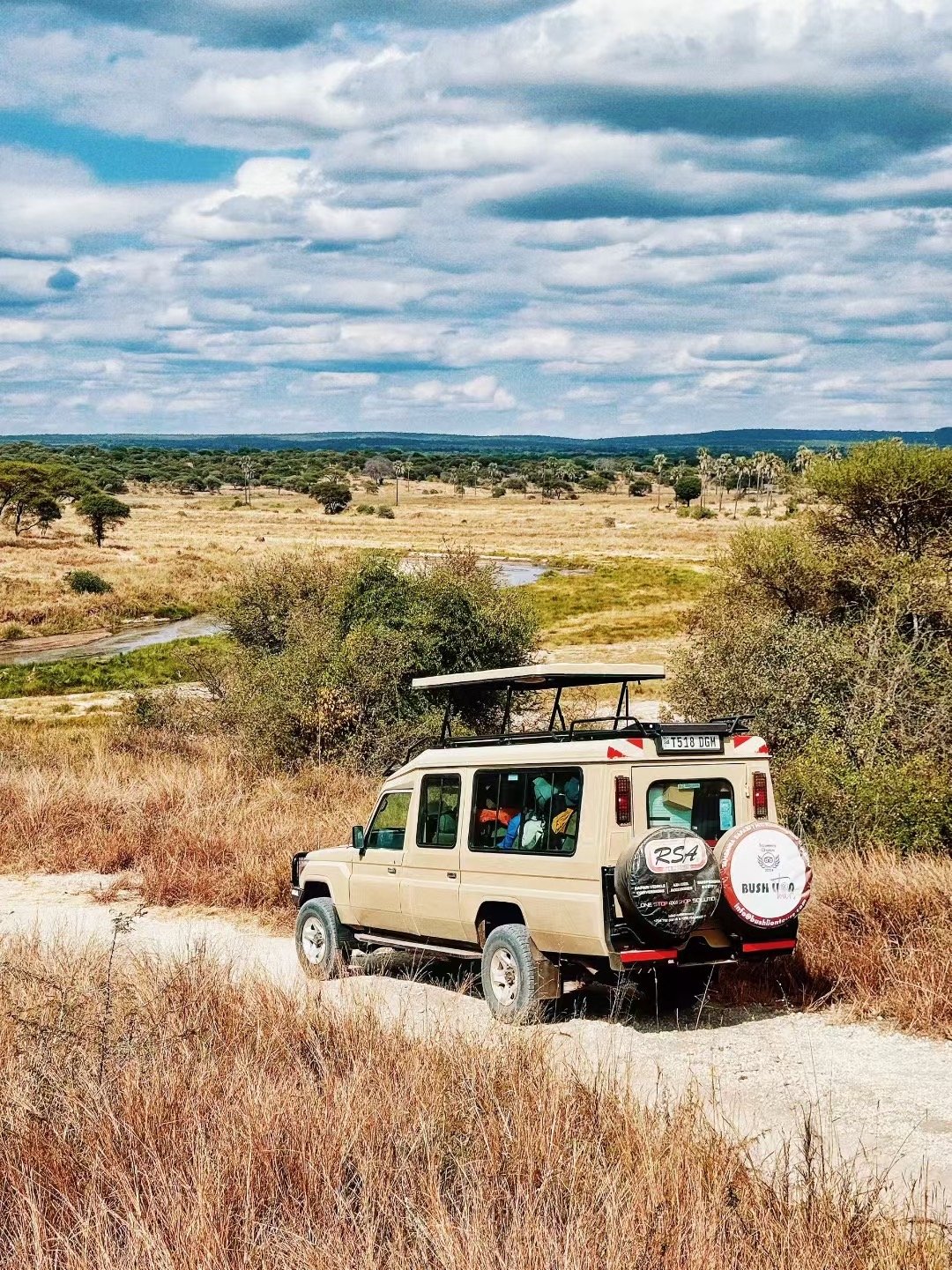 Professional Tanzanian safari guide